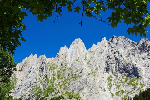 Engelhoerner