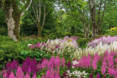 Gardens of Victorian Mansion Lanhydrock House