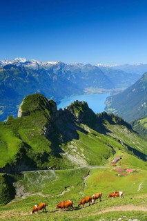 View from the Brienzer Rothorn