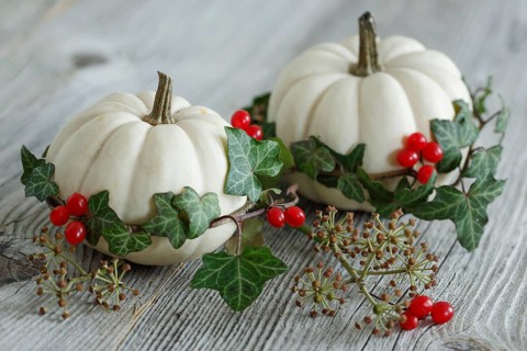 Autumnal decoration