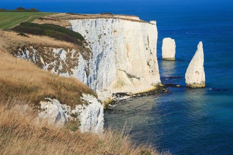 Old Harry Rocks