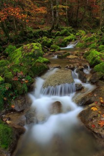 Twannbach Gorge