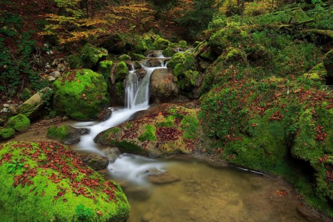 Twannbach Gorge