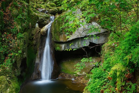 Twannbach