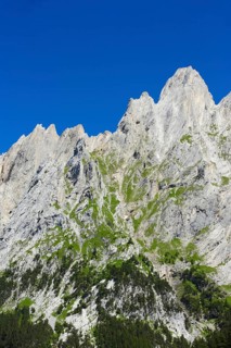 Engelhoerner