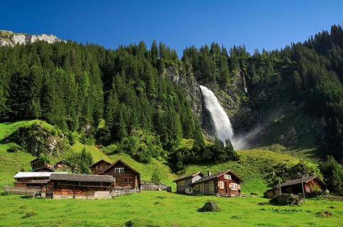 Staeubifall