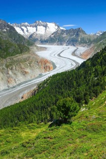 Bathtub horns and Aletsch Glacier