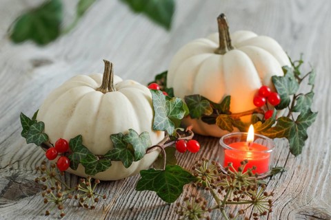 Autumnal decoration