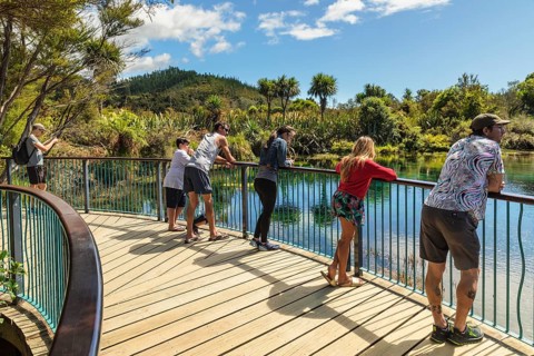 Te Waikoropupue Springs
