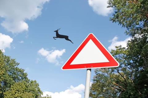 Deer jumps out of the traffic sign