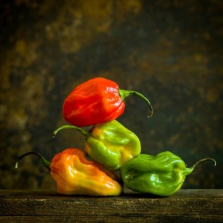 Caribbean pepper Capsicum chinense