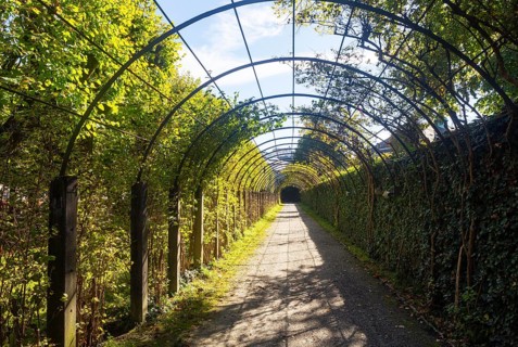 Acadence in the Mirabell Garden