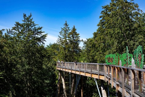 Tree top walk Salzkammergut am Gruenberg