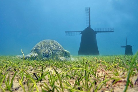 Global warming