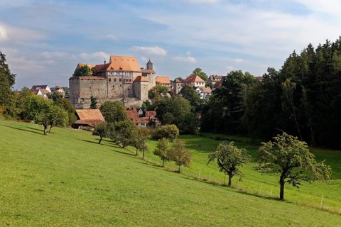 In front meadow