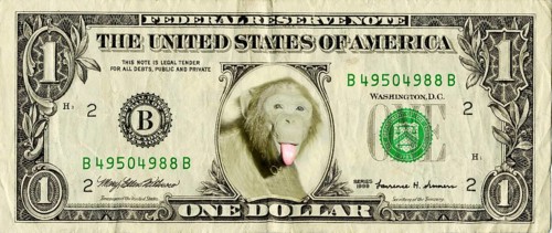 Dollar