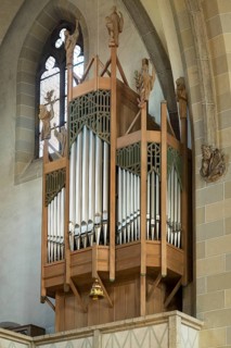 Side Organ