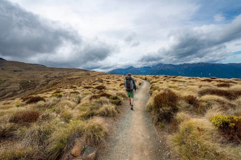 Hiker on Kepler Track