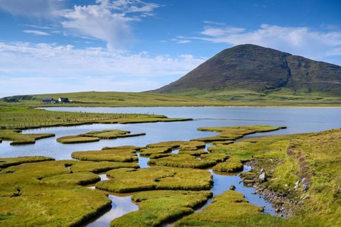 Marsh landscape near Northton with Ceapabhal Hill