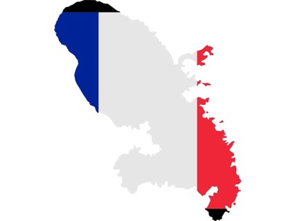 Flag in form form of the geographical country