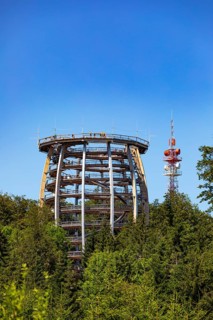 Observation tower at the tree top path Salzkammergut am Gruenberg