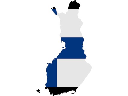 Flag in form form of the geographical country