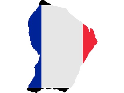 Flag in form form of the geographical country