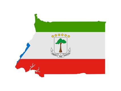 Flag in form form of the geographical country