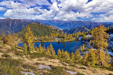 Mountain lake surrounded by autumnal larches