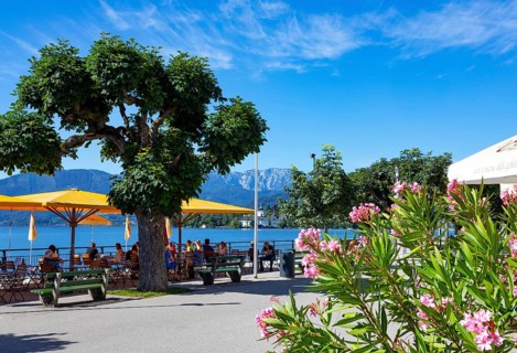 Guest garden at the Esplanade