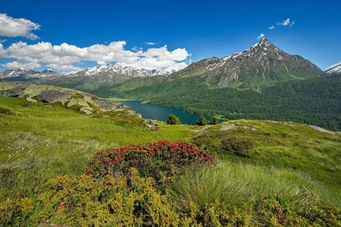View from Piz da la Margna