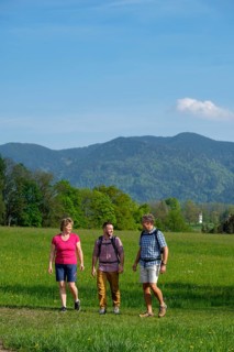 Group hiking