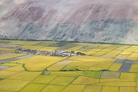 Fields along the Rio Ocona