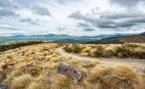 Hiking trail through grassland