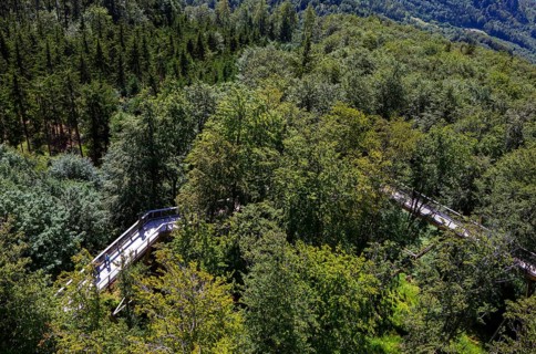Tree top walk Salzkammergut am Gruenberg