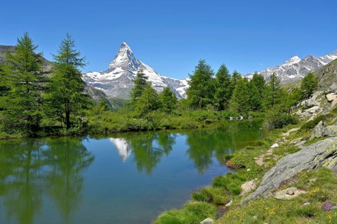 Larches
