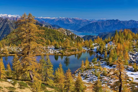 Mountain lake surrounded by autumnal larches
