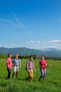 Group hiking