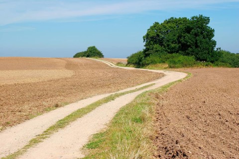Field path winds through freshly ploughed field