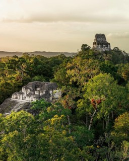 Mayan temple in the rainforest