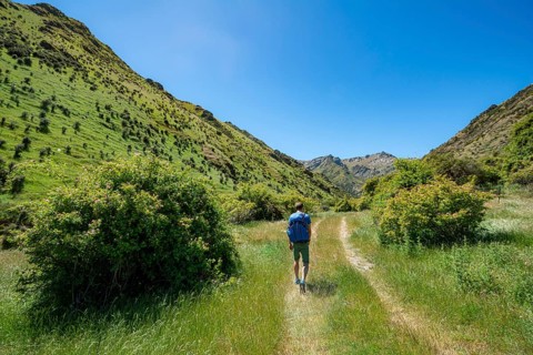 Hiker on trail in a valley