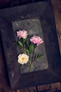 Three peonies in an embers tub on vintage wooden boxes