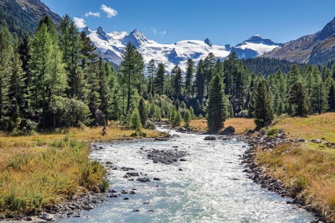 Glacier stream in the Roseg Valley