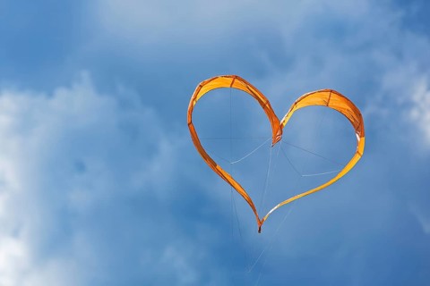 Sunlit heart-shaped dragon