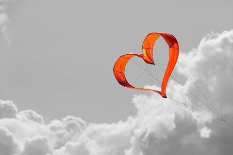 Sunlit heart-shaped dragon