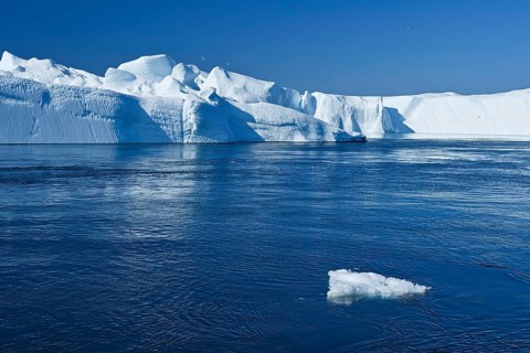 Gigantic icebergs in the ice fjord