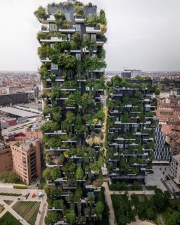 Aerial view of the Bosco Vertical