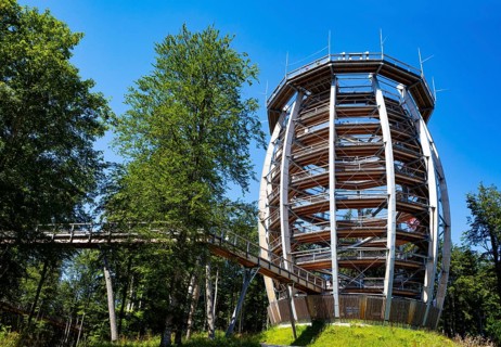 Observation tower at the tree top path Salzkammergut am Gruenberg