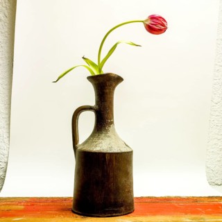 Red Tulip