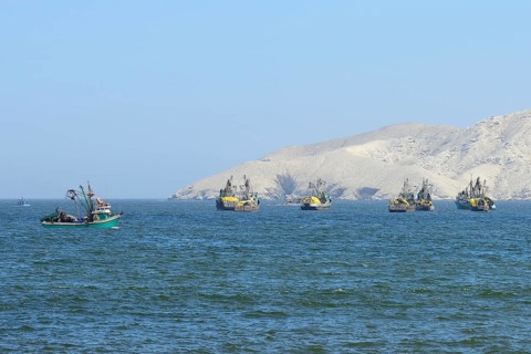 Bay with anchored fishing boats